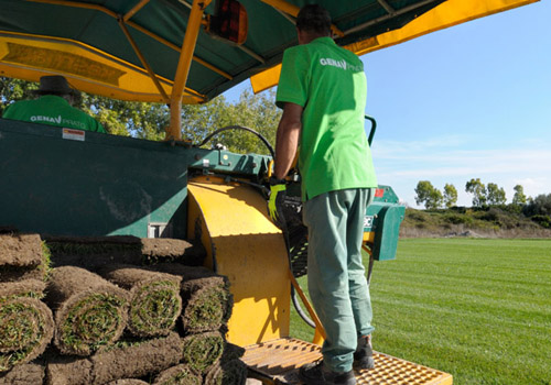 Il nostro tappeto erboso GENA PRATO è di altissima qualità, fertilizzato e curato con prodotti il più possibile naturali, coltivato con attrezzature specialistiche da professionisti qualificati e costituito dai miscugli delle migliori cultivar disponibili sul mercato.