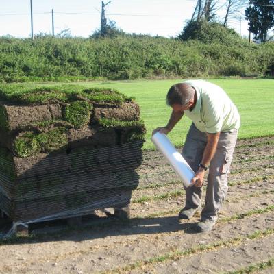 Gena Prato - Tappetto erboso in rotoli - Confezionamento con rete traspirante e posizionamento nei pallet.